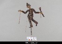 藏品(泰國小檯皮影戲偶)的圖片